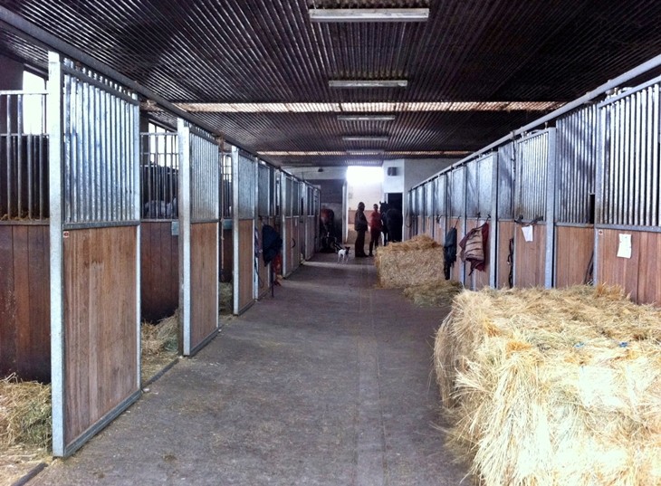 Yeguada Antonio San Román, Boxes