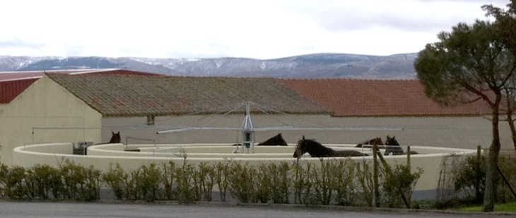 Yeguada Antonio San Román, caminador