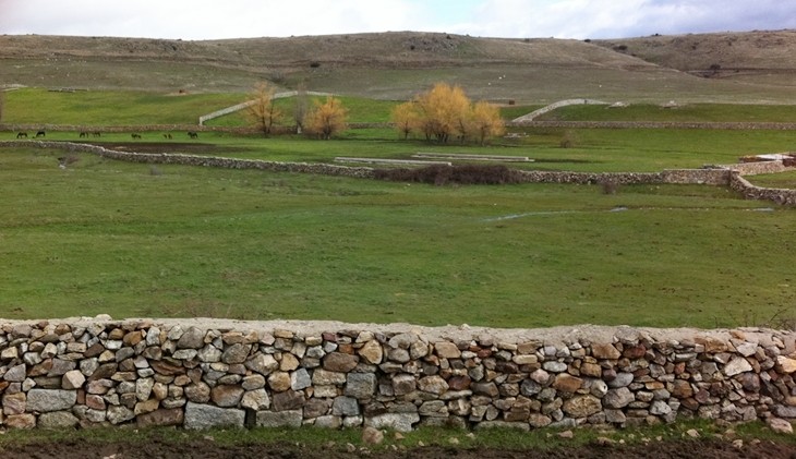 Yeguada Antonio San Román, La finca 4