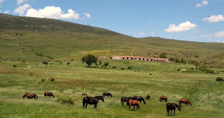 Yeguada Antonio San Román, La finca 1
