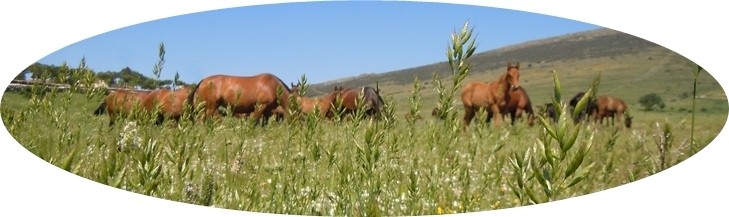 instalaciones-portada2